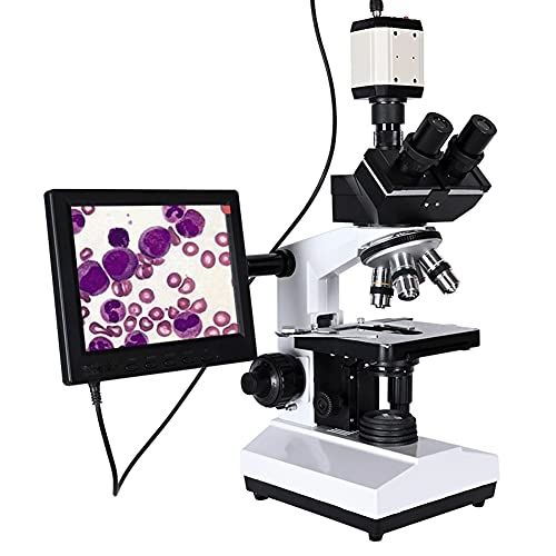 ZLDQBH Microscopio trinoculare HD biologico Lab professionale Zoom 250 0X + USB. Electronic Digital. CCD. Fotocamera + 8 pollici LCD.