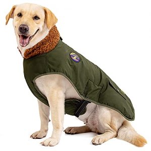 IREENUO Cappotto Cane,Impermeabile cappottino caloroso per cane per cani di taglia media e grande,Giacca invernale per cani con fibbia regolabile