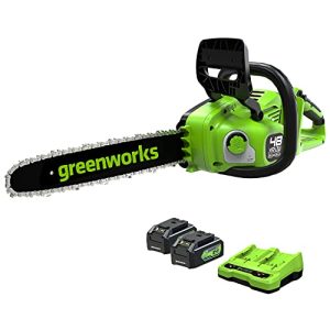 Greenworks Motosega a catena a batteria GD24X2CS36, Li-Ion 48V velocità della catena 20m/s lunghezza della barra 36cm serbatoio dell’olio da 200ml, 2 batterie 4Ah, caricatore a due posti